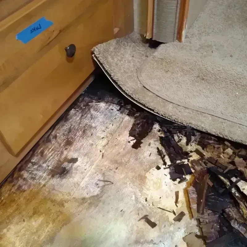 Best Wood Floor Water Damage Service in East Richmond Heights, CA